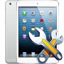Ремонт iPad Mini