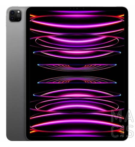 iPad Pro 12.9 2022 Wi-Fi 1TB Space Gray (MNXW3)
