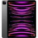 iPad Pro 11 2022 Wi-Fi 128GB Space Gray (MNXD3)